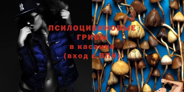 тгк Краснотурьинск