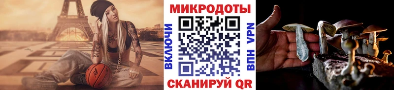 купить наркоту  Невельск  Псилоцибиновые грибы прущие грибы 